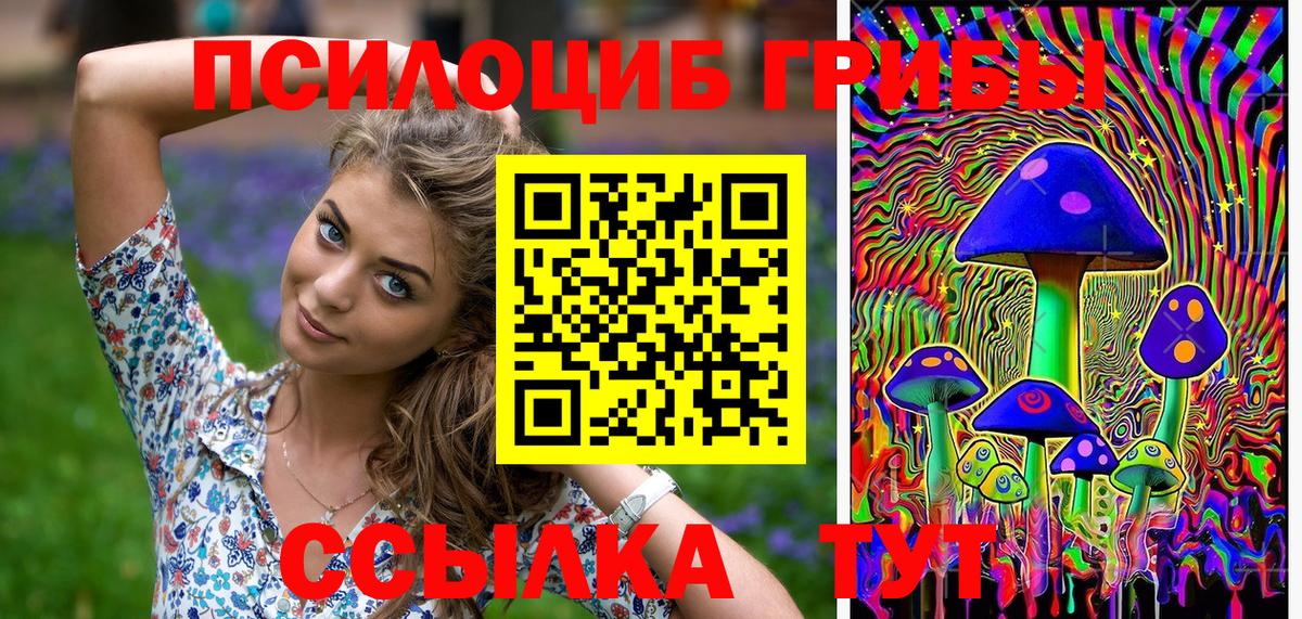 Псилоцибиновые грибы GOLDEN TEACHER Петрозаводск
